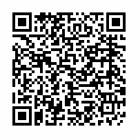 QR Code für Museumsnacht Zwickau